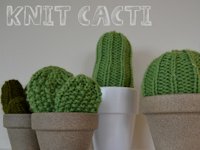 Sewing Barefoot Knitted Cactus